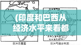 (印度和巴西从经济水平来看都属于) 探索中国、印度和巴西的经济增长之路：关键驱动因素与区域差异的详细解析